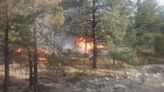 Afectan incendios 4 mil hectáreas en el estado; 178 los combaten