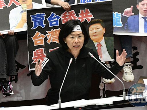 民進黨街頭宣講國會覆議案 蘇巧慧：藍白偽裝改革實則擴權