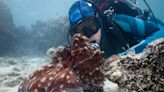 James Cameron turns cameras on octopuses