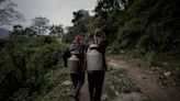 Nepal’s honey gatherers say fewer hives threaten tradition