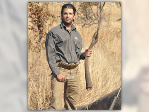 Fact Check: Pic Supposedly Shows Donald Trump Jr. Holding Severed Elephant's Tail. Here's What's Going On