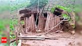 Elephant herd causing havoc in Niyamgiri tribal villages | Bhubaneswar News - Times of India