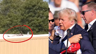 'Crooks, Get Down': Mystery Woman Heard Screaming At Shooter Right Before He Took Aim At Trump | VIDEO
