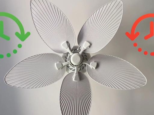 Which way to switch your ceiling fan in the summer