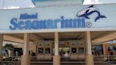 Miami Seaquarium's park operator files federal lawsuit against Miami-Dade County