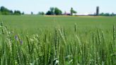 Huron County leads swift rise in southwestern Ontario farmland values