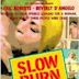 Slow Burn (1986 film)