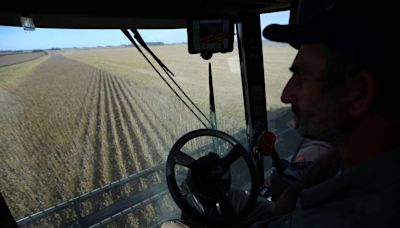 Agricultores argentinos demoram a exportar e atrapalham planos de Milei