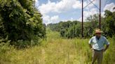 Proposed LG&E natural gas pipeline that would cut through Bernheim forest put on hold