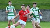 Louth GAA Division 2 match previews