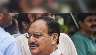 Govt agencies conducting risk-based inspections of pharma units: Nadda