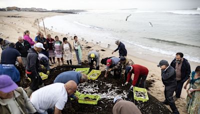 Espinho, a praia onde as artes se cruzam