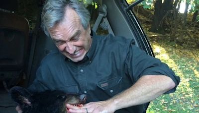 Watch: Robert F Kennedy Jr admits to dumping dead bear in Central Park