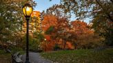 Man discovered dead inside Central Park: NYPD