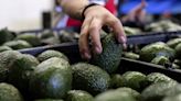 Will avocado prices go up after inspection pause in Mexico?