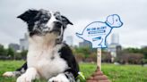 Animal health company dubs April 23 as first 'National Parvo Awareness Day'