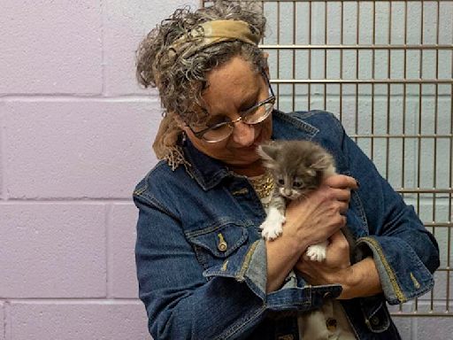 Humane Society hosting special “Empty the Shelters” event Saturday