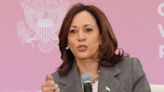 Kamala Harris's Secret Service agent 'brawled with other agents' military base