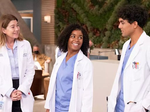 Don't Worry, 'Grey's Anatomy' Fans! ABC Has Officially Revealed When It's Coming Back!