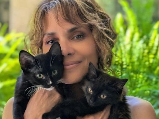 Halle Berry’s ‘Catwoman’ role took her from lifelong dog fan to cat lover