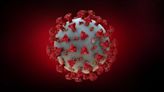 New Covid subvariants dominate U.S. and Mass. infections