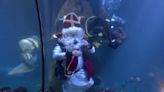 Underwater Santa visits sharks in their pool at Munich aquarium