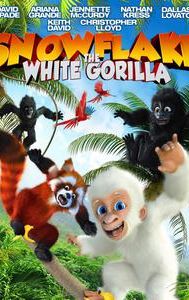 Snowflake, the White Gorilla