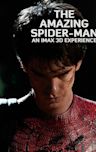 The Amazing Spider-Man (film)