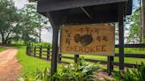 State buys Cherokee Plantation for Red Hills Conservation Florida Forever project