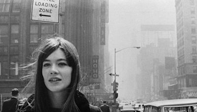 Sängerin Françoise Hardy im Alter von 80 Jahren gestorben