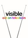 Visible: Out on Television