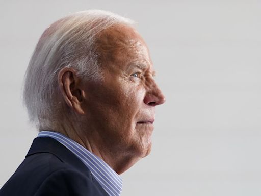 ‘F*cking Disaster’: Former Obama Aides Stick the Knife Into Biden