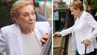 Hollywood legend Julie Andrews makes rare public appearance with walking stick