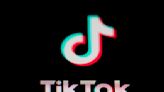 Free speech and digital rights groups argue TikTok law would infringe on the First Amendment