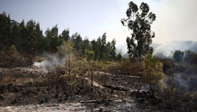 Cerca de 40 concelhos de sete distritos em perigo máximo de incêndio