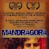 Mandragora (film)