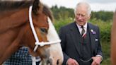 The Mounties Just Gifted King Charles a New Horse, Continuing a Long Tradition