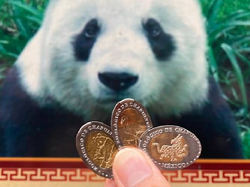 Graba tus monedas de $1 con figuras de animales del Zoológico de Chapultepec en esta máquina
