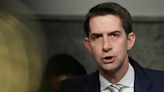 Cotton: US decision to abstain from UN cease-fire vote ‘deeply offensive’