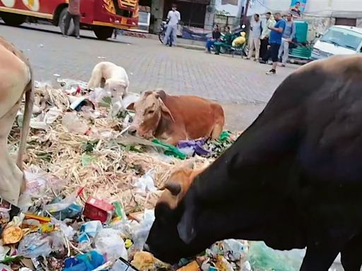 Visitors, locals ‘unwelcome’ as filth plagues Nurpur bus stand