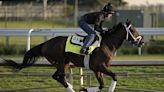 Kentucky Derby looks wide open beyond top two betting choices | Chattanooga Times Free Press