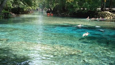 Ginnie Springs temporarily closed as deputies investigate attempted murder