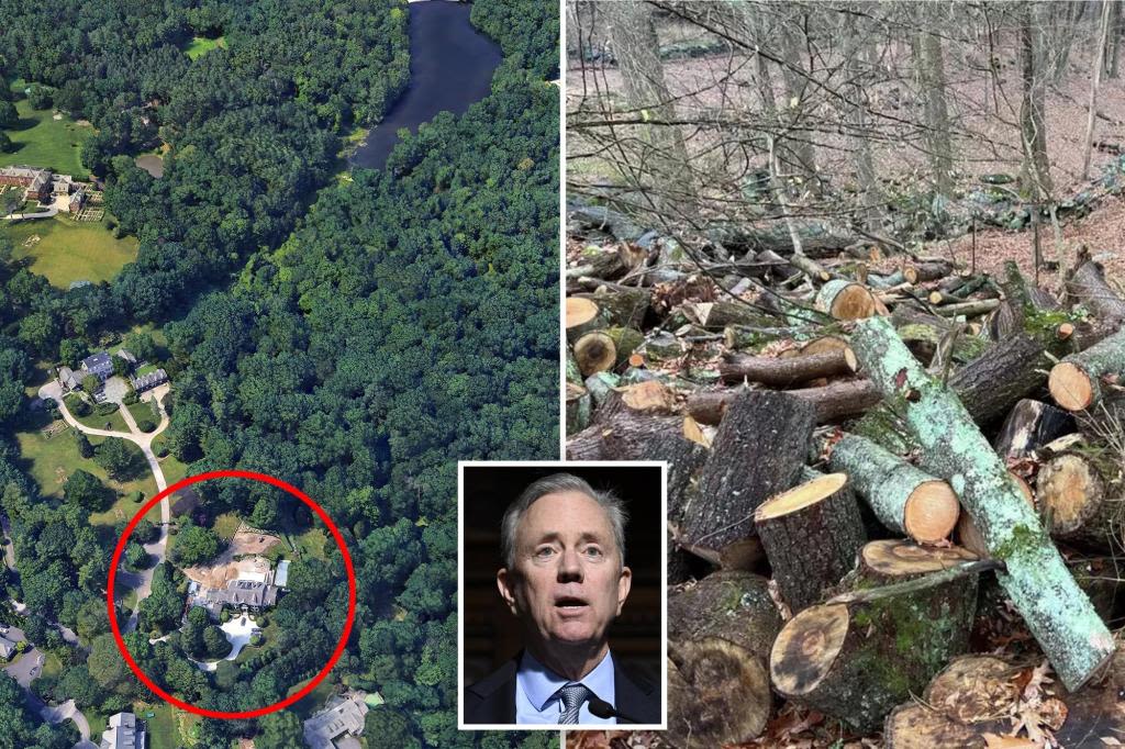 Conn. Gov. Ned Lamont had thousands of trees, bushes ‘illegally’ cut behind $7.5M home — infuriating neighbors: ‘A chainsaw massacre’