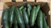 Fresh cucumbers recalled due to salmonella contamination risk