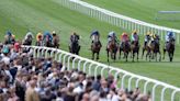 Newmarket's July course hit by 29mm deluge in a hour and a half on Tuesday but track 'taken rain fantastically well'