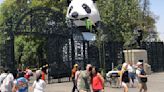 Conoce cuánto cuesta la entrada al Zoológico de Chapultepec