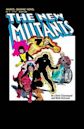 The New Mutants (graphic novel)