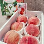 免運🔝日本山梨溫室水蜜桃 黃金桃 一桃匠山形縣水蜜桃禮盒 和歌山水蜜桃禮盒 長野水蜜桃禮盒