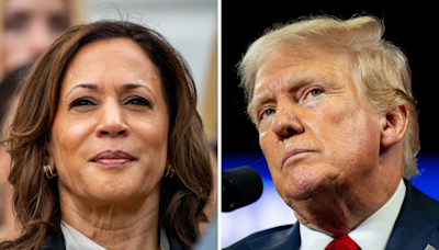 Kamala Harris gets boost from independents as Donald Trump struggles: Poll