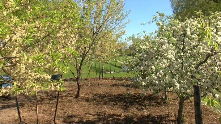 Sustainably Speaking: NEW Leaf Foods expands two local orchards